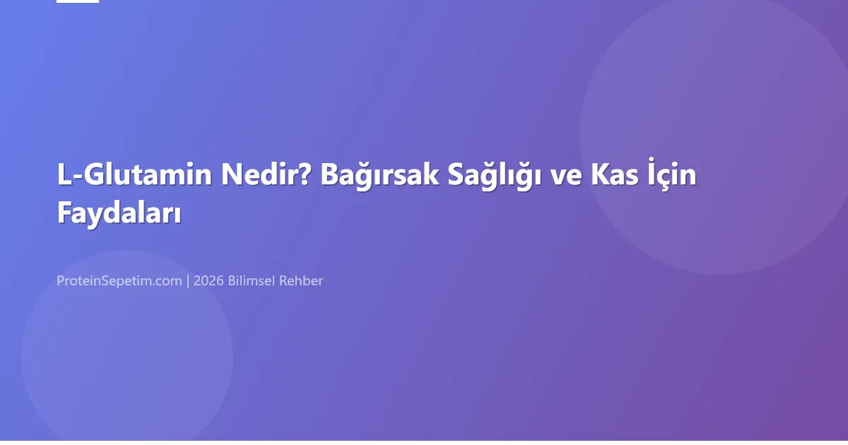 L-Glutamin Nedir? Bağırsak Sağlığı ve Kas İçin Faydaları