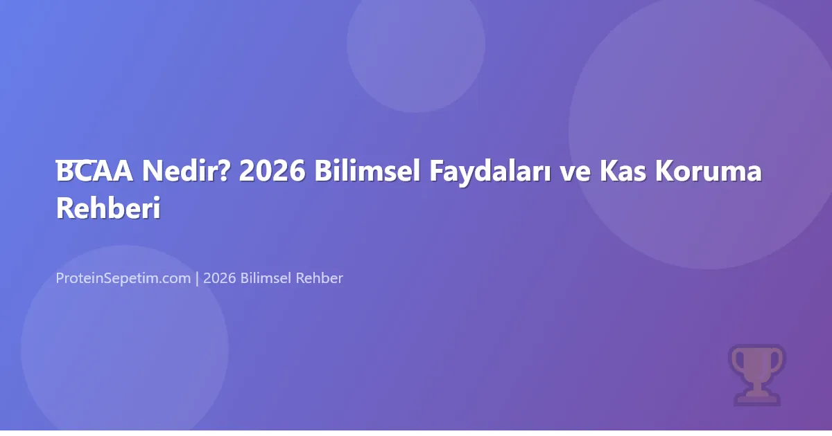 BCAA Nedir? 2026 Bilimsel Faydaları ve Kas Koruma Rehberi
