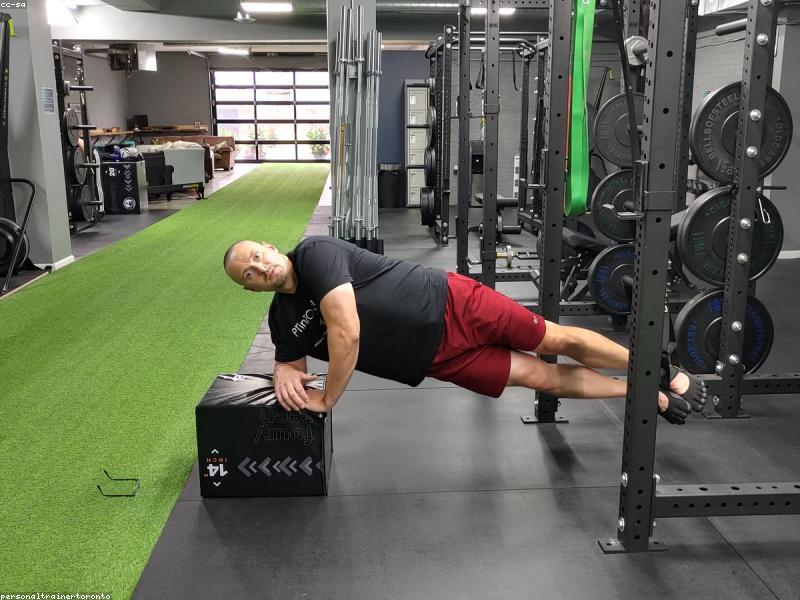 Protein Tozu Kategorisi: Whey, İzole ve Kazein Protein Seçenekleri