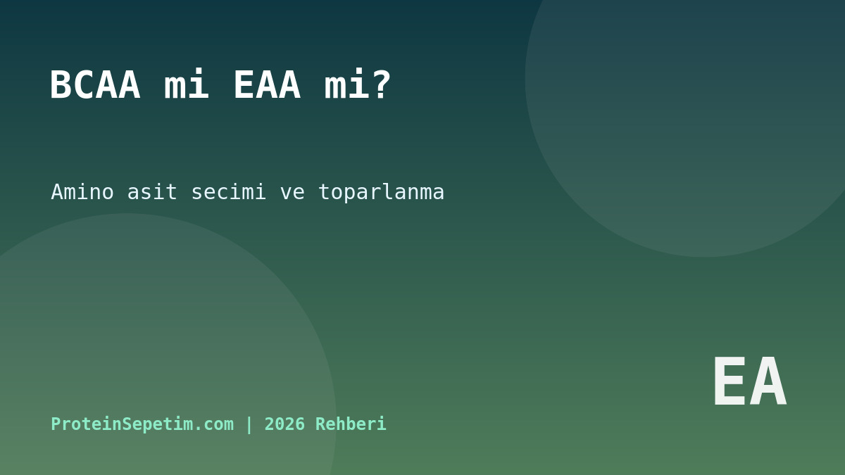 BCAA mı EAA mı? 2026 Amino Asit Seçim ve Kullanım Rehberi