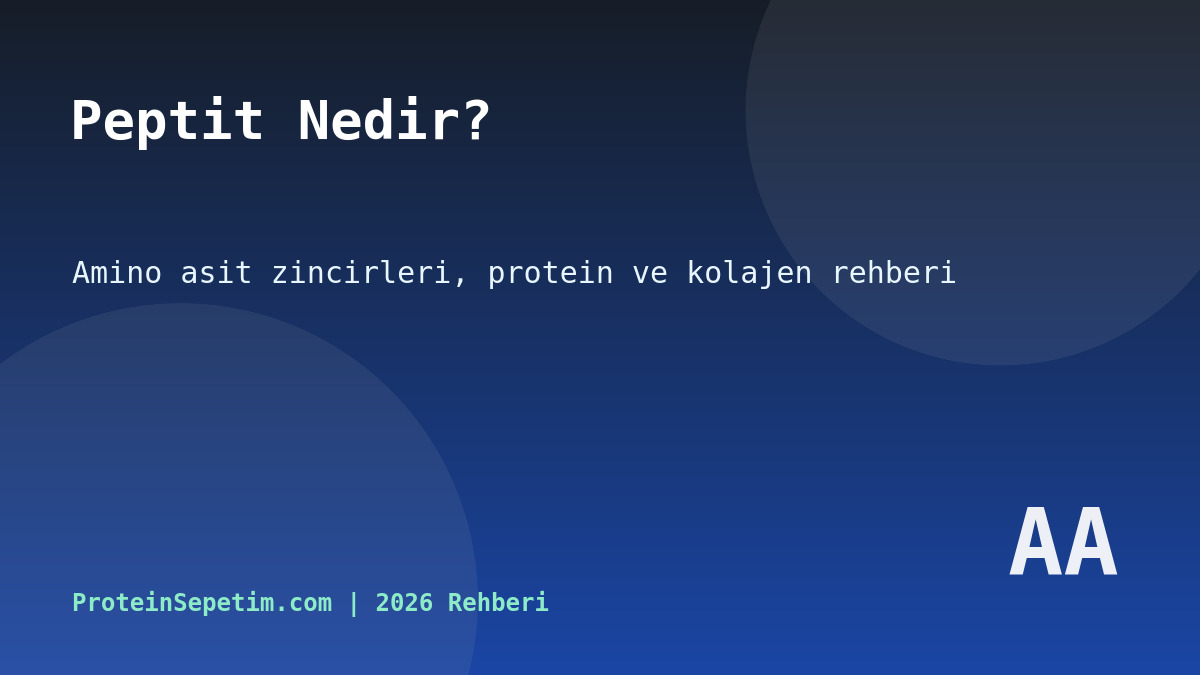 Peptit Nedir, Biyolojik Olarak Ne İşe Yarar? 2026 Yeni Başlayanlar Rehberi