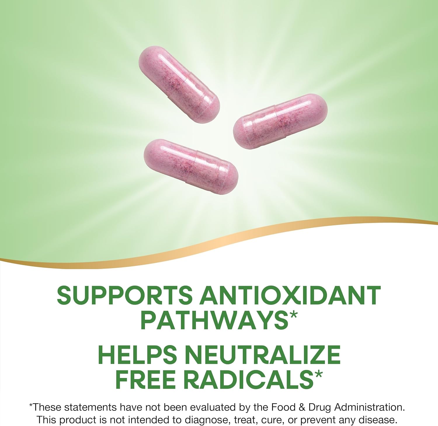 Nature's Way Tart Cherry Ultra Montmorency Cherry Antioxidant 1200 mg 90 Vegan Caps - Galeri
