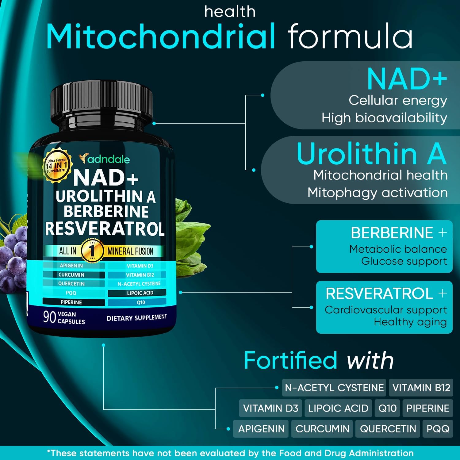 Adndale NAD Urolithin-A Berberine  Resveratrol 90 Vegan Caps - Galeri