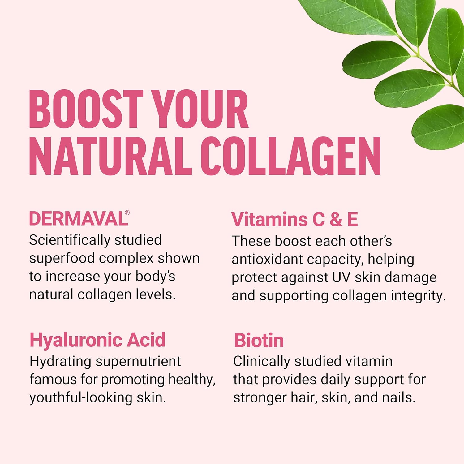 Force Factor Collagen Superfoods Women with Biotin Hyaluronic Acid and Vitamin C for Hair Skin Nails 60 Chews - Galeri
