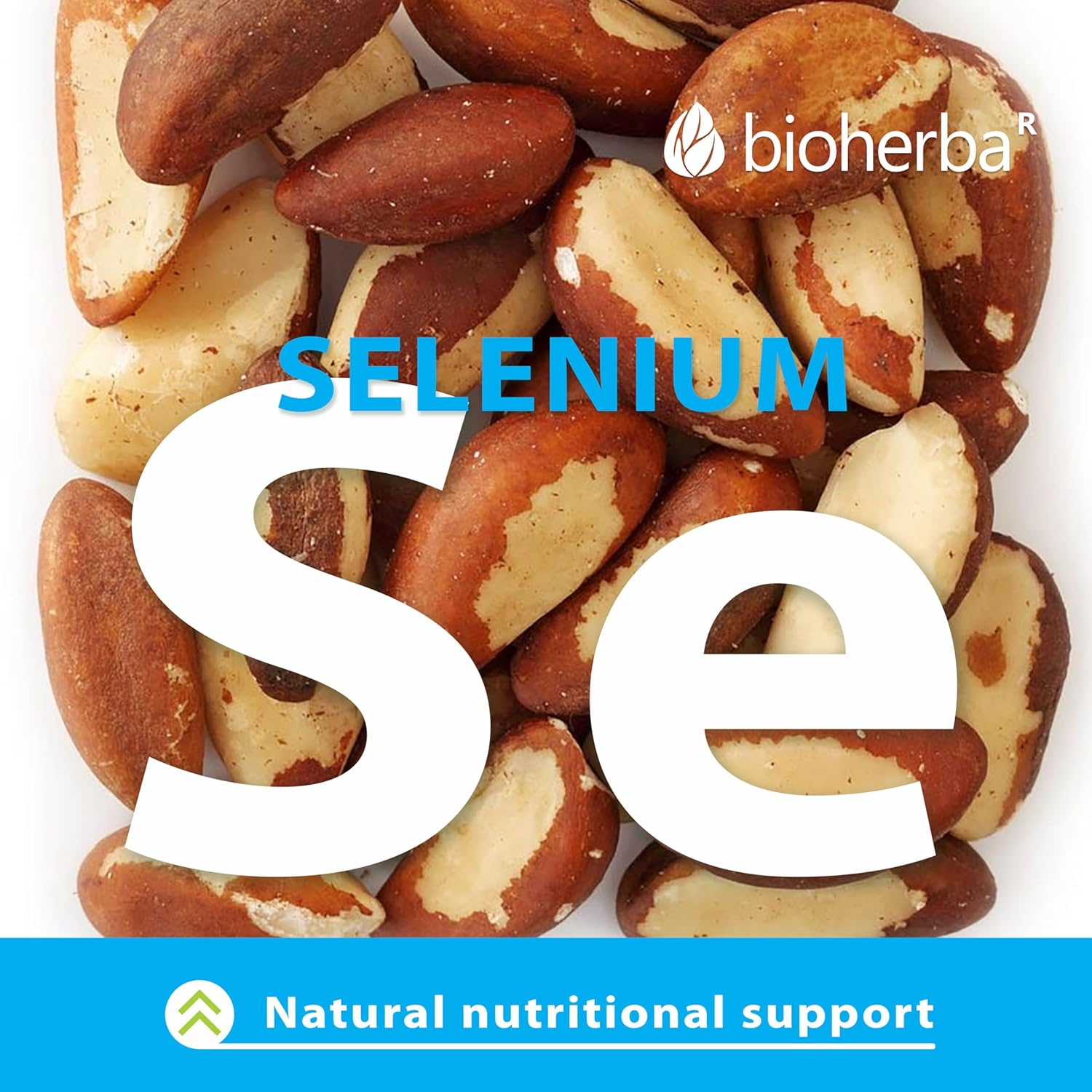 Bioherba Maca Matcha tozu extract+Selenium Selenyum 350 mg 100 caps - Galeri