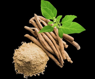 Nutrend Ashwagandha KSM66 60 Capsul - Galeri