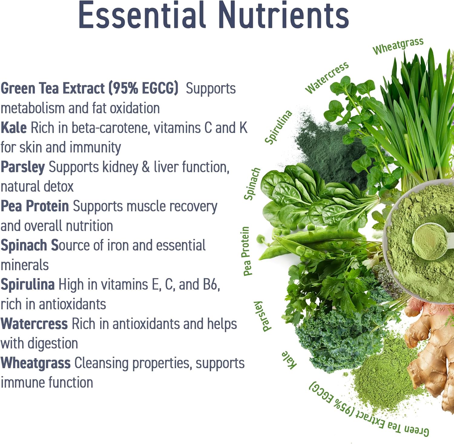 Applied Nutrition Critical Greens Superfood Blend for Gut Health Energy and Immune Support 30 Servis - Galeri