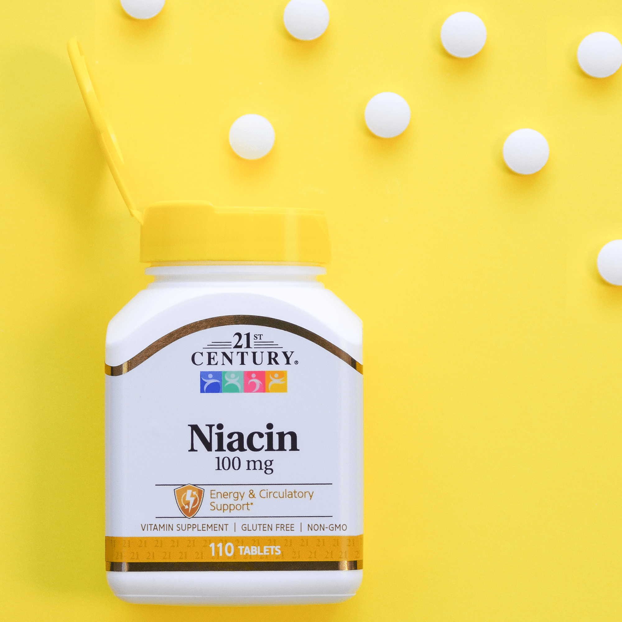21st Century Vitamin B3 Niacin 100mg 110 Tablet - Galeri
