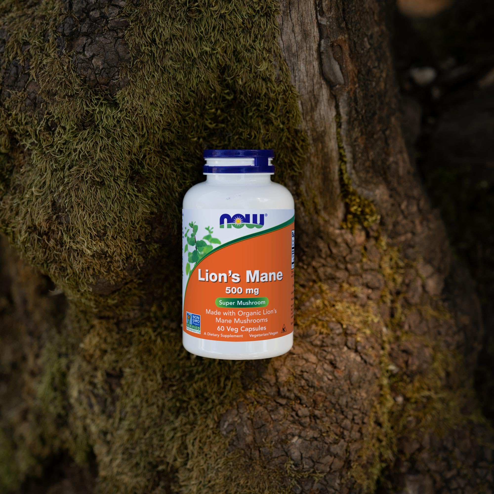 NOW Foods, Lion's Mane (Aslan yelesi mantarı) 500 mg, 60 Veggie Capsules - Galeri