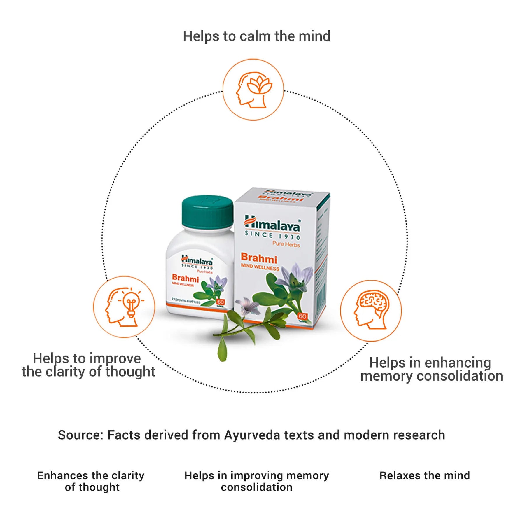 Himalaya Bacopa Brahmi Brain Support and Mental Focus 60 Tablet - Galeri