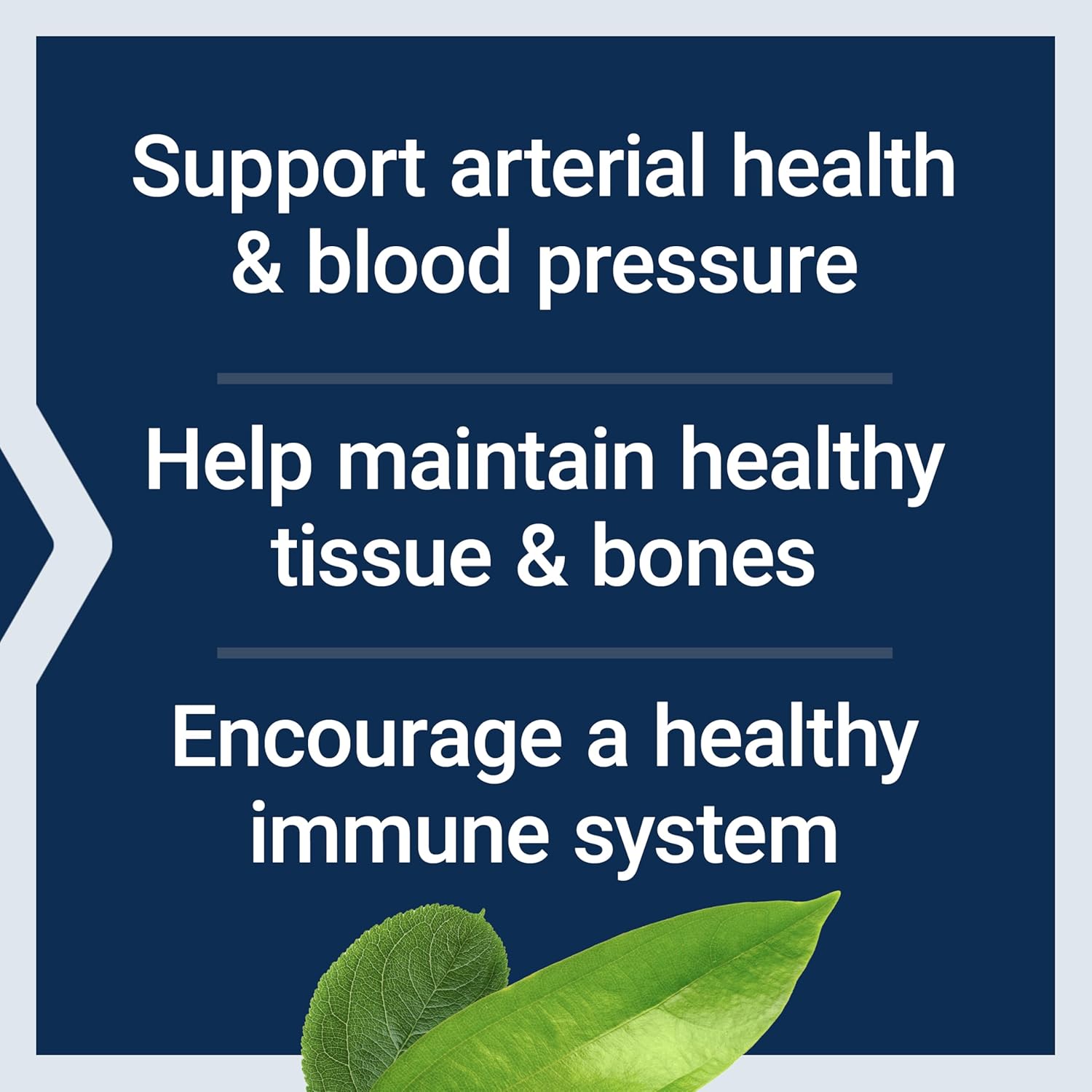 Life Extension L-Arginine Nitric Oxide 700 mg Vitamin C Immune Health Bones 200 Caps - Galeri