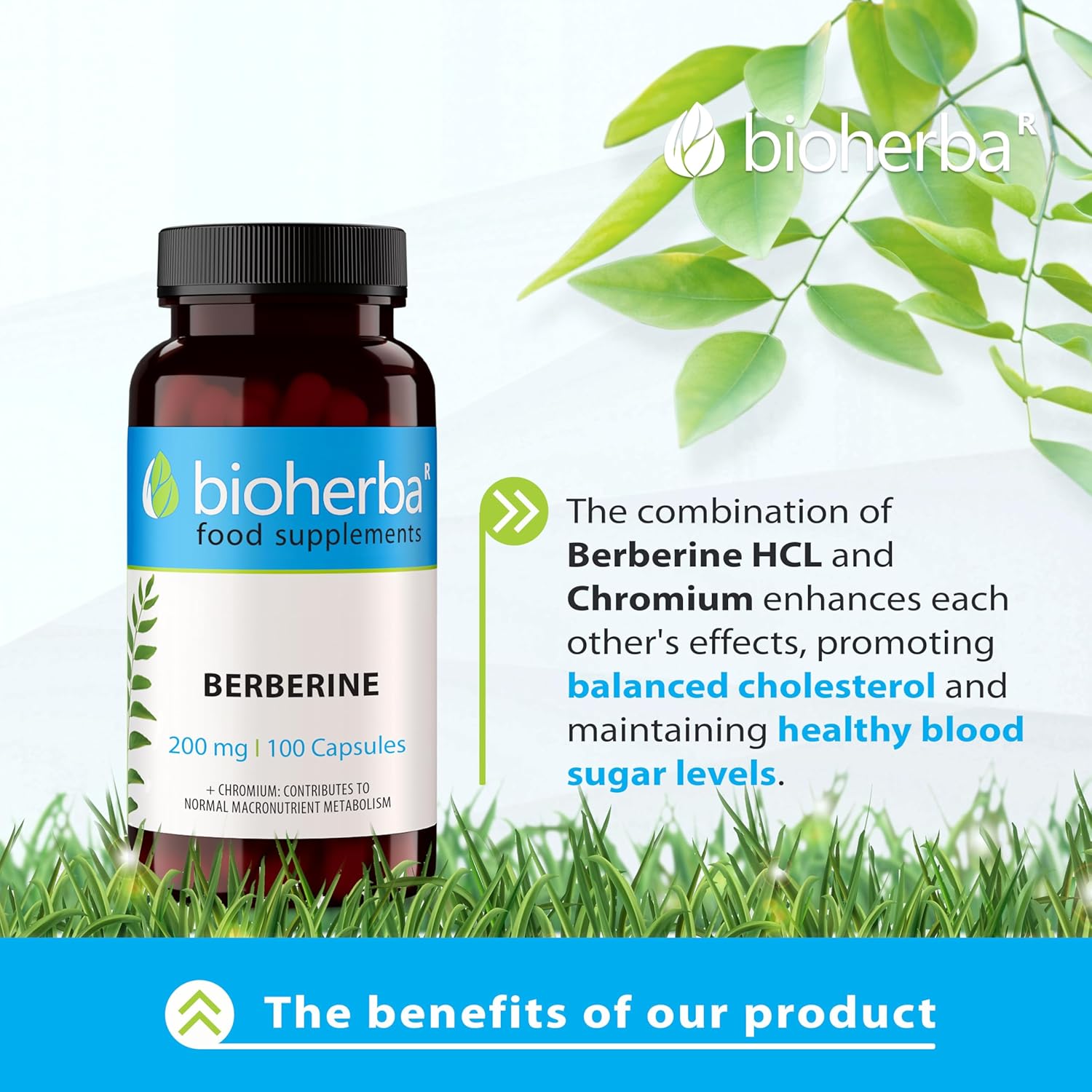 Bioherba Berberine Antioxidant(Antioksidan) 200 mg 100 caps - Galeri