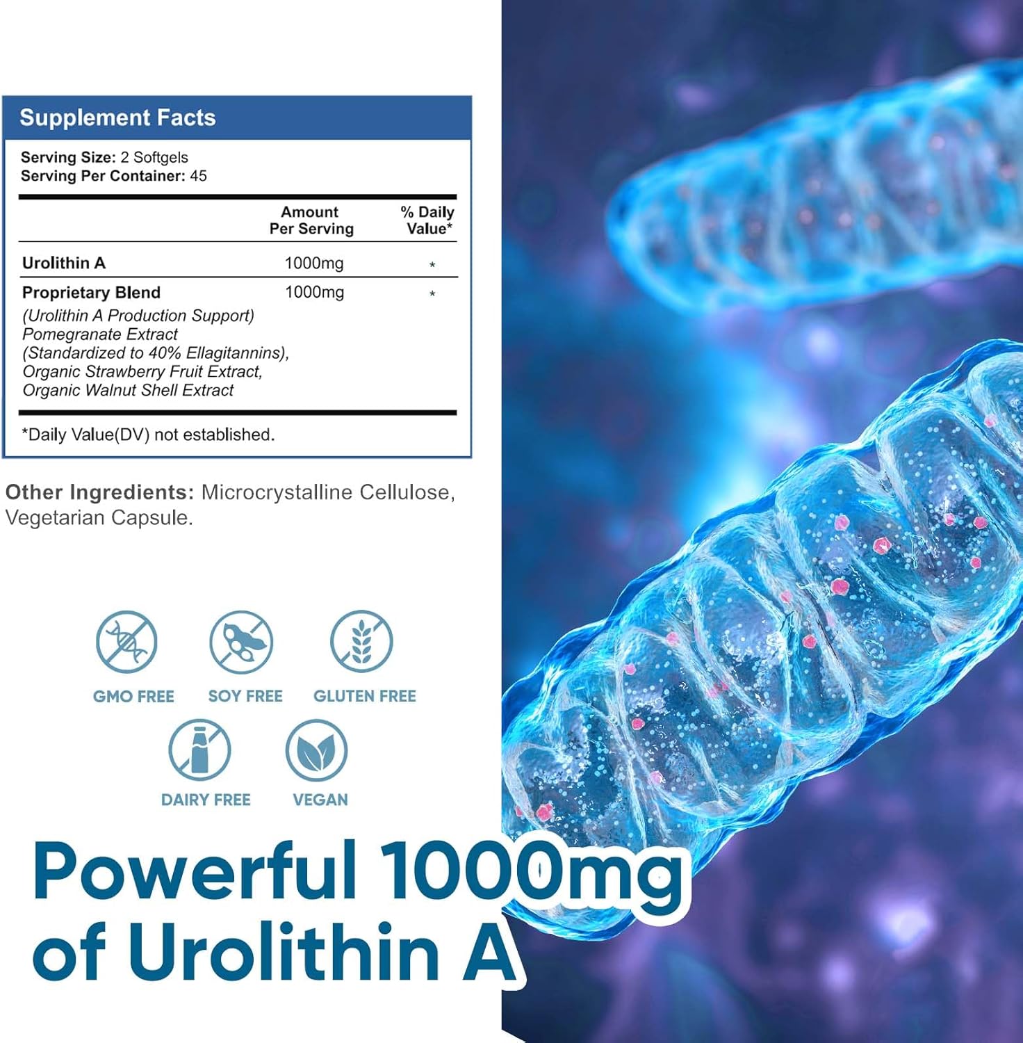 VIVALIFER Urolithin A 1000 MG Antioxidants for Healthy Aging 90 Softgels - Galeri