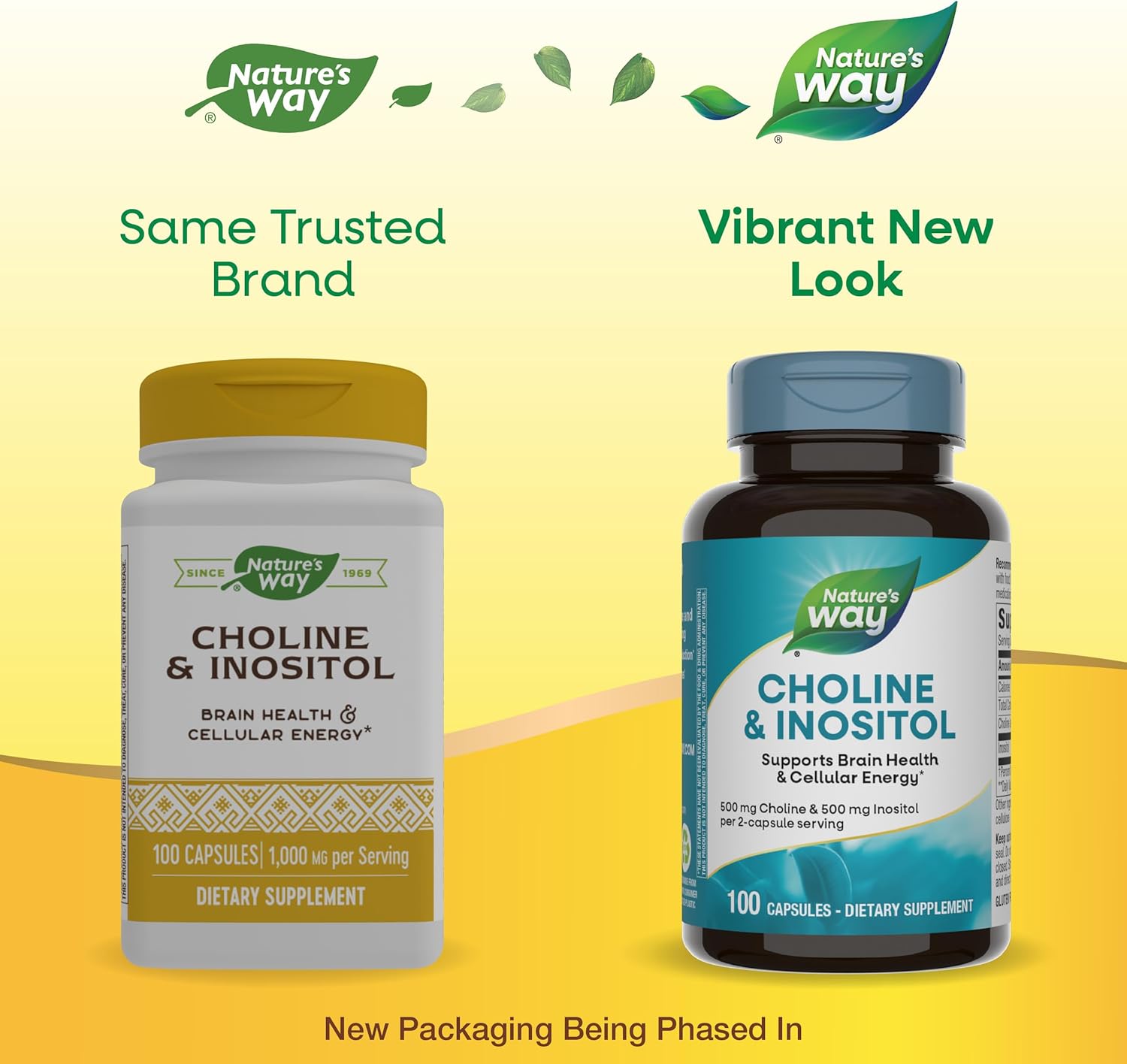Nature's Way Choline(Kolin) & Inositol, Supports Brain Health & Cellular Energy 100 Caps - Galeri