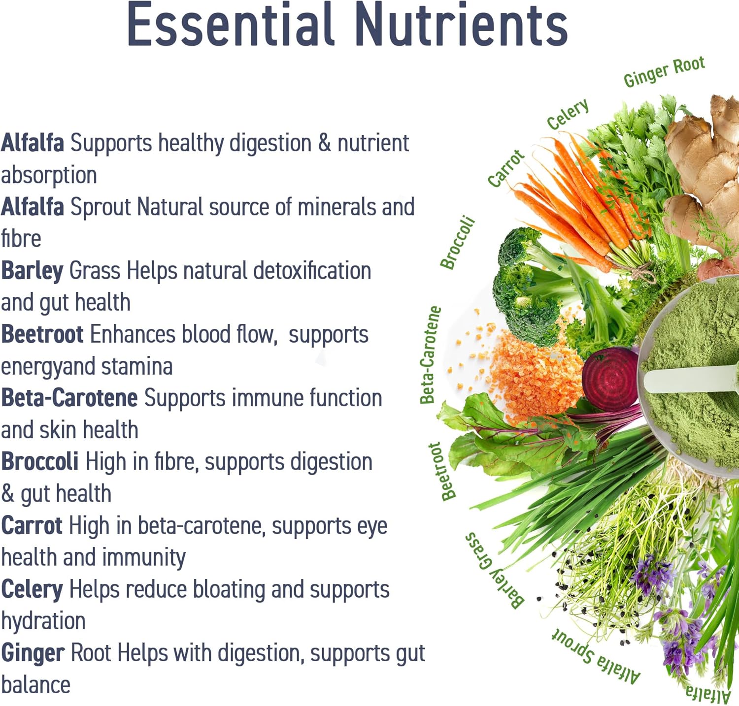 Applied Nutrition Critical Greens Detox Powder Superfood Gut Health Immune Support Vegan 30 Servis - Galeri
