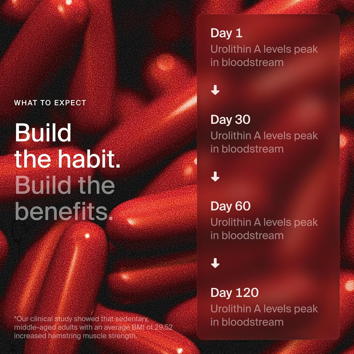 Timeline Mitopure Urolithin A Healthy Aging and Cellular Longevity 60 Softgels - Galeri