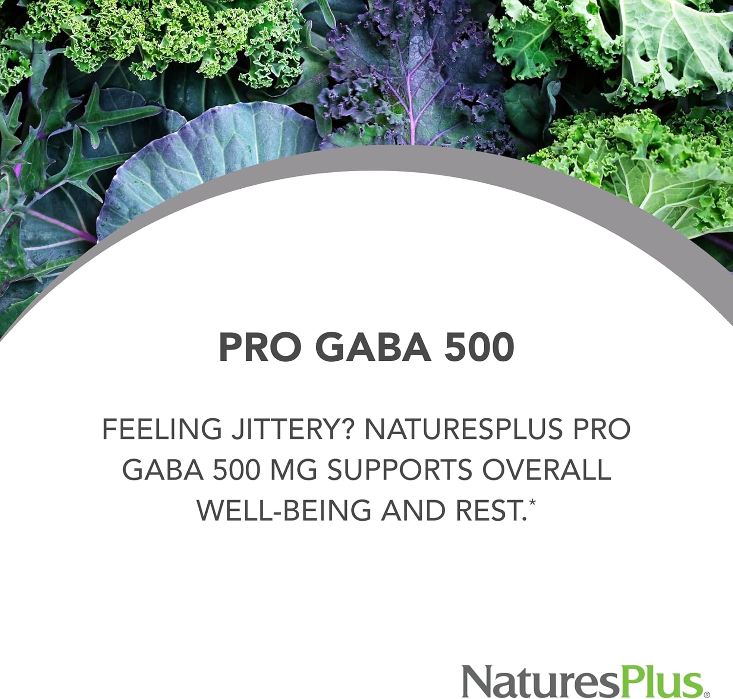 NaturesPlus PRO GABA 500 mg - 60 Caps - Galeri