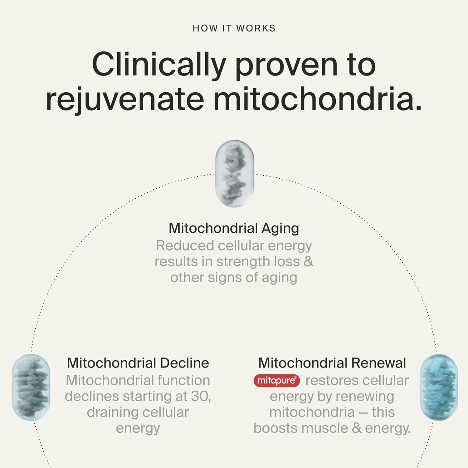 Timeline Mitopure Urolithin A Healthy Aging and Cellular Longevity 60 Softgels - Galeri