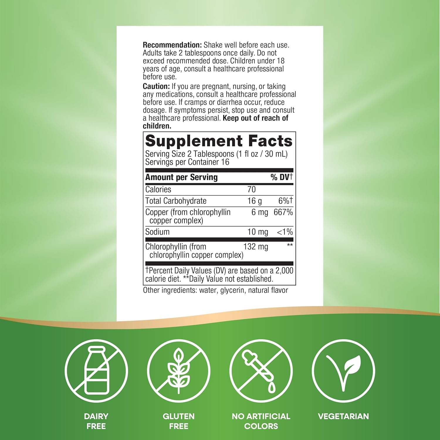 Nature's Way Chlorofresh Liquid Chlorophyll 480 ml - Galeri