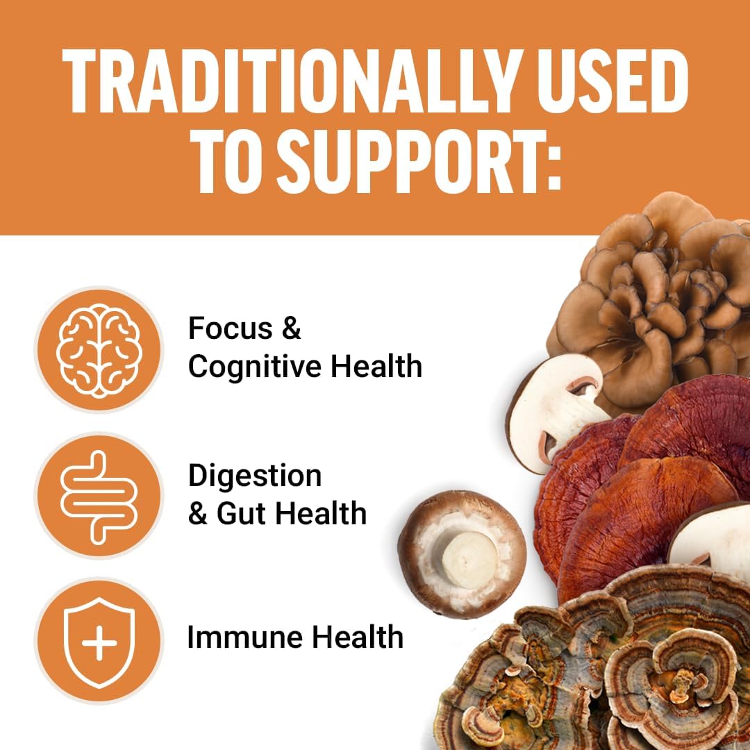 Force Factor Modern Mushrooms Lions Mane Turkey Tail Immunity Cognitive Digestion 90 Vege - Galeri