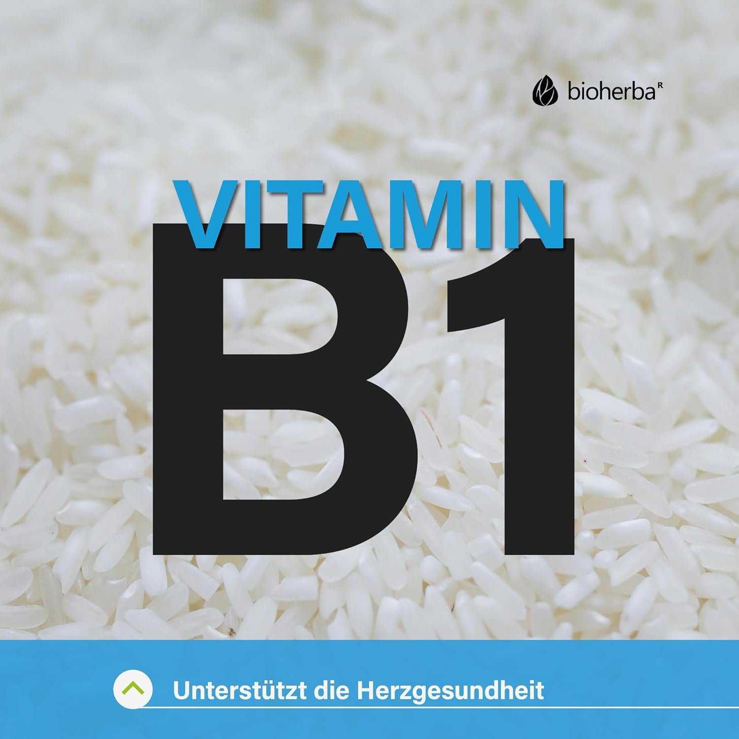 Bioherba Nattokinase Vitamin B1 Thiamin 100 mg 100 Caps - Galeri