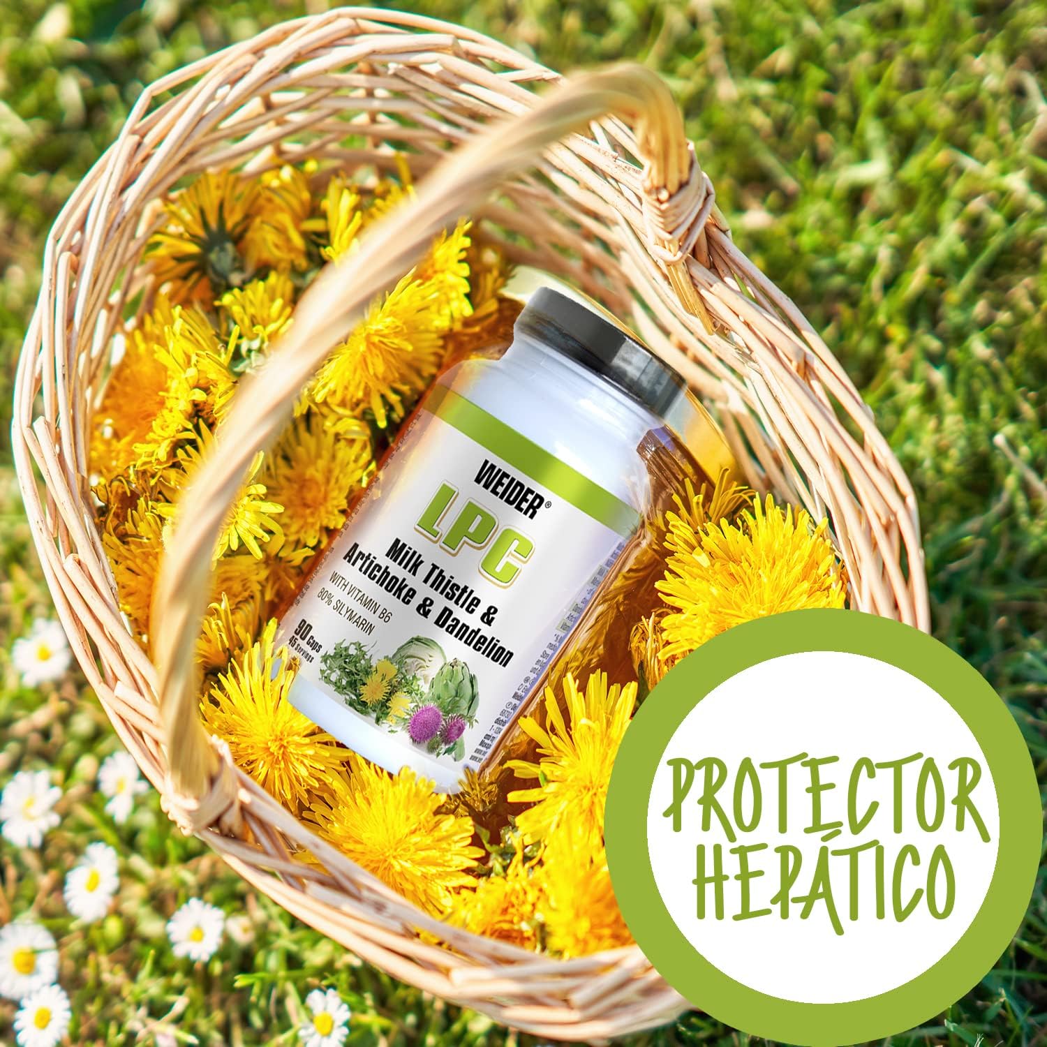 Weider LPC Liver Milk thistle(Deve dikeni)+Artichoke(Enginar) Dandelion Protector Cleanse - 90 caps - Galeri