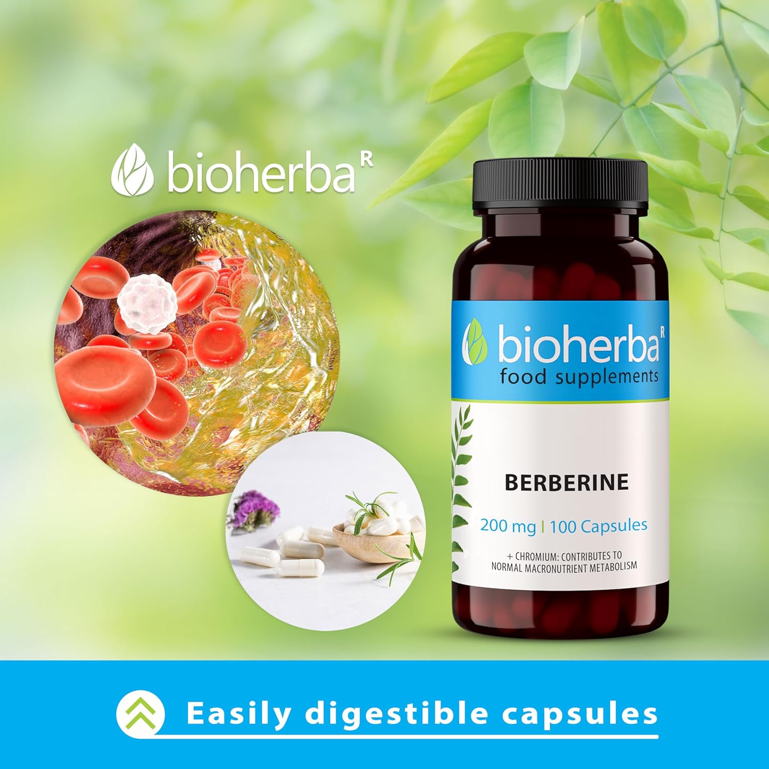 Bioherba Berberine Antioxidant(Antioksidan) 200 mg 100 caps - Galeri
