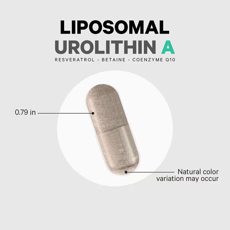 Codeage Liposomal Urolithin A Resveratrol CoQ10 Phospholipid 60 Caps - Galeri