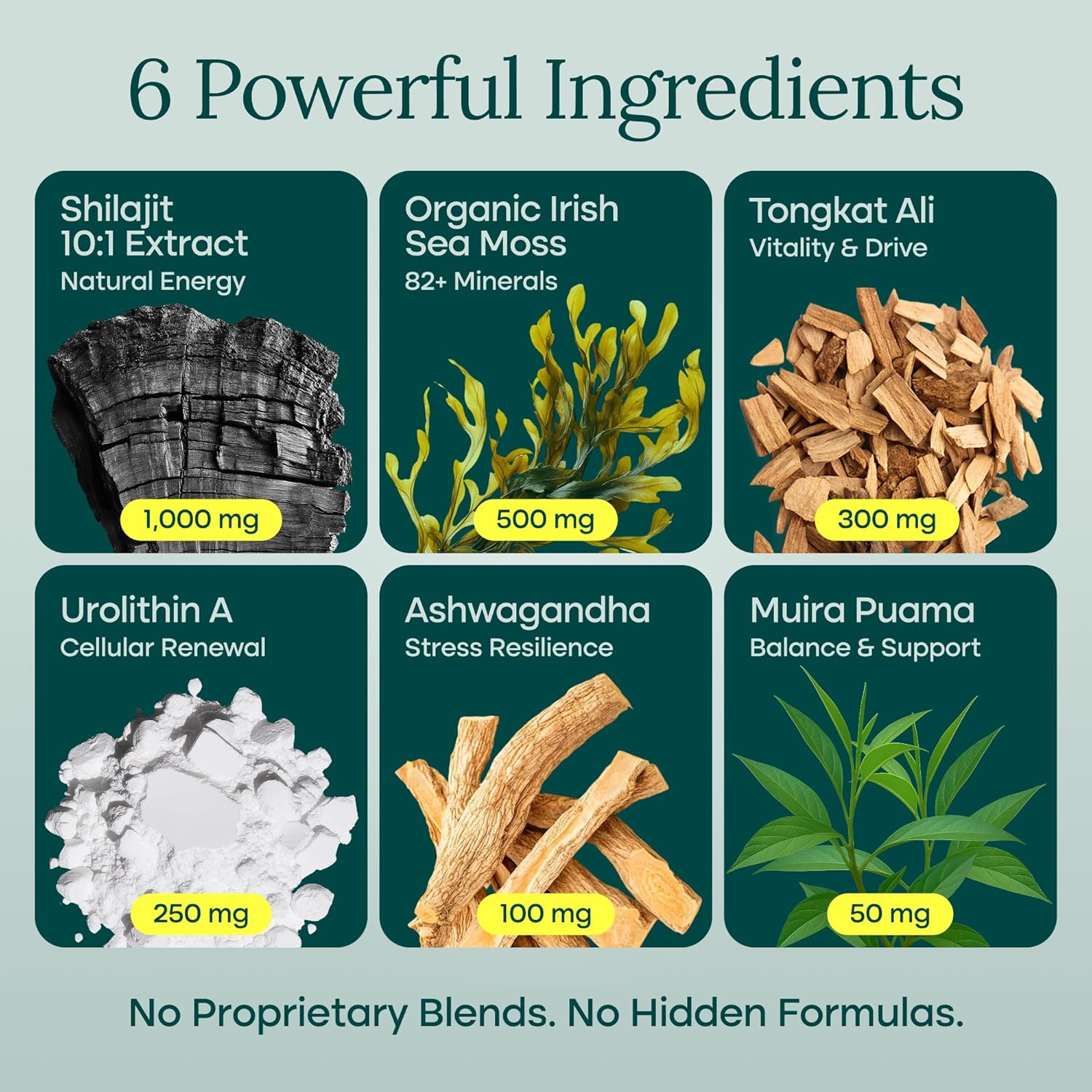 Etta Vita Urolithin-A Complex Shilajit Irish Sea Moss Tongkat Ali Ashwagandha 90 Caps - Galeri