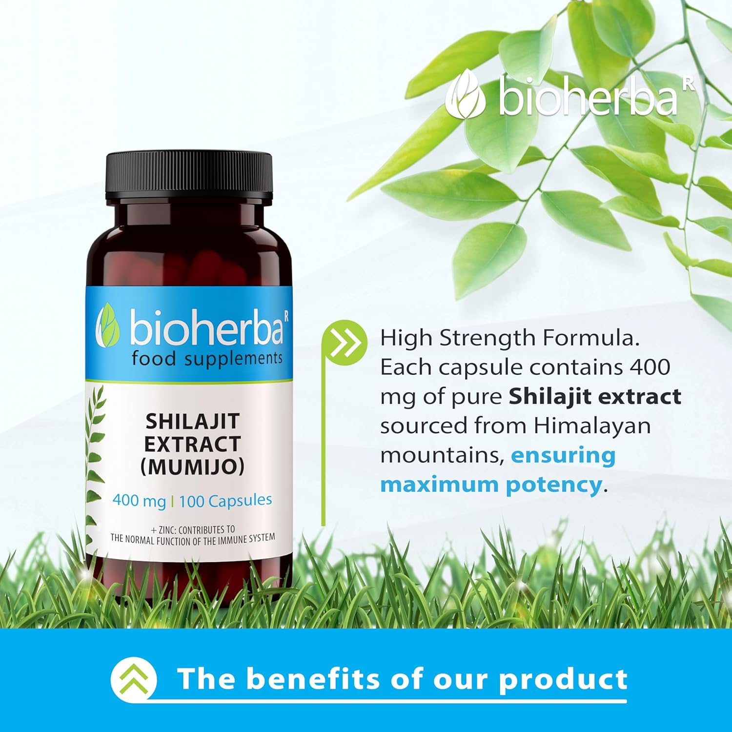Bioherba Shilajit Extract (Mumijo) 400 mg 100 Caps - Galeri