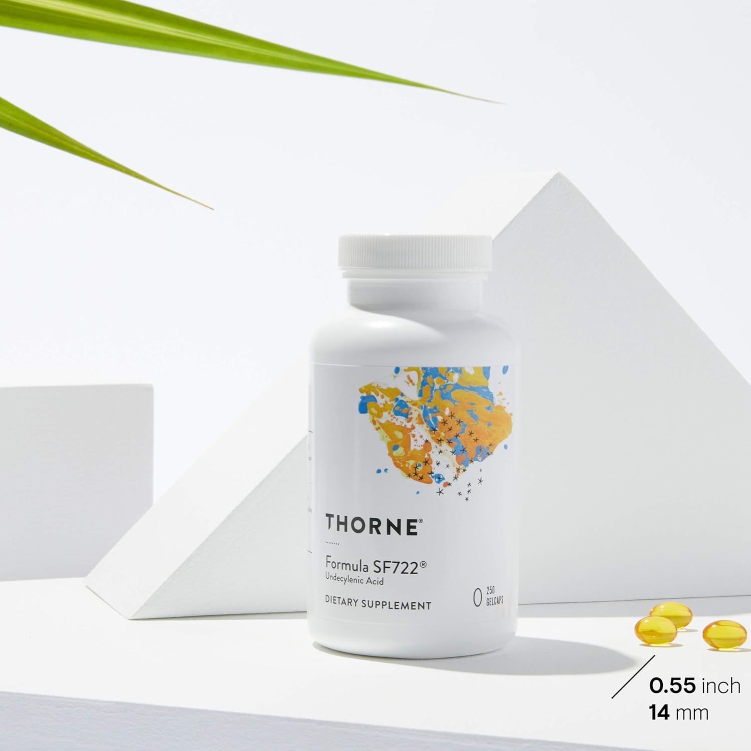 THORNE Undecylenic Acid 250 mg Healthy Balance of Gut & Vaginal Flora 250 Gelcaps - 50 Servings - Galeri