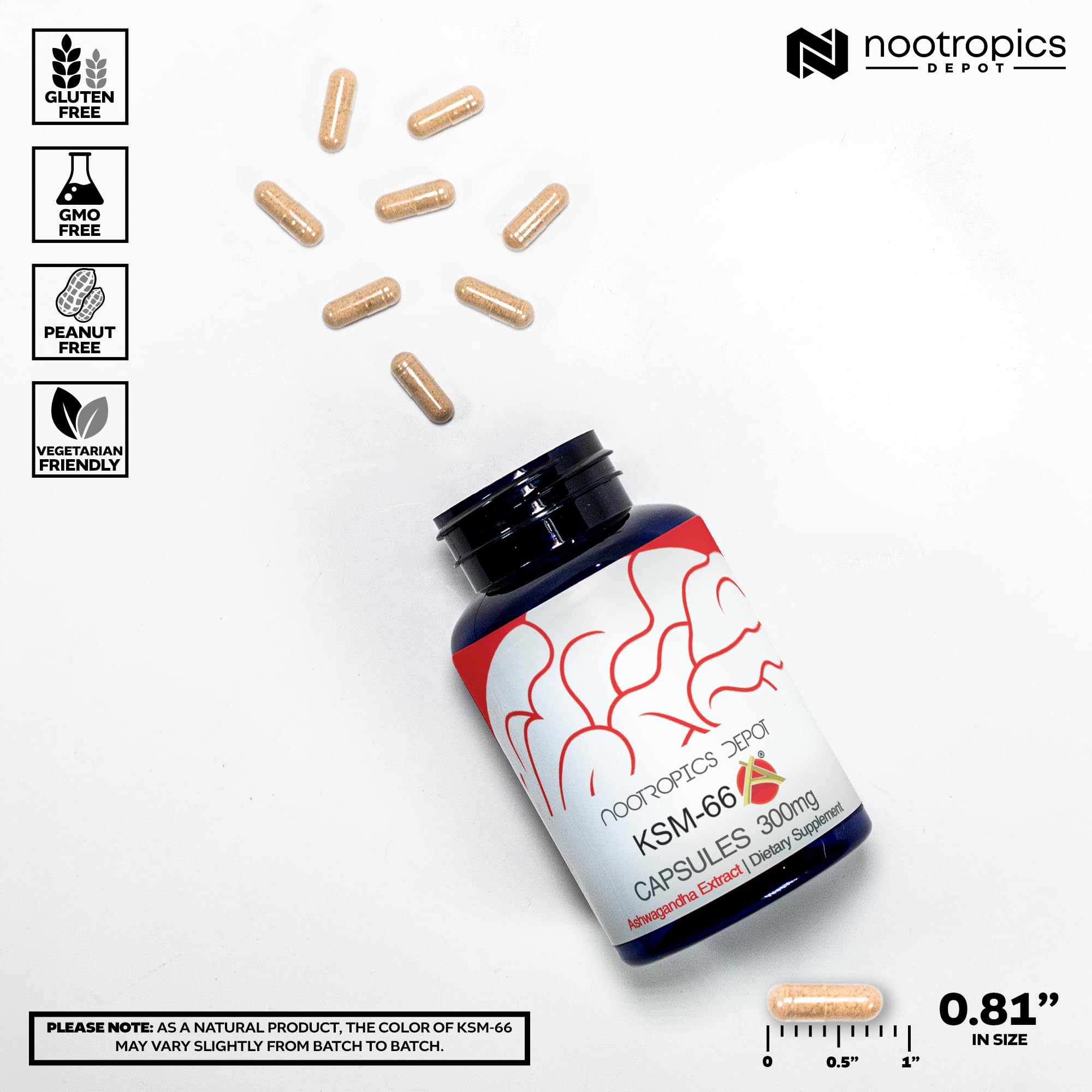 Nootropics Depot KSM66 Ashwagandha Capsules 300mg 90 Caps - Galeri