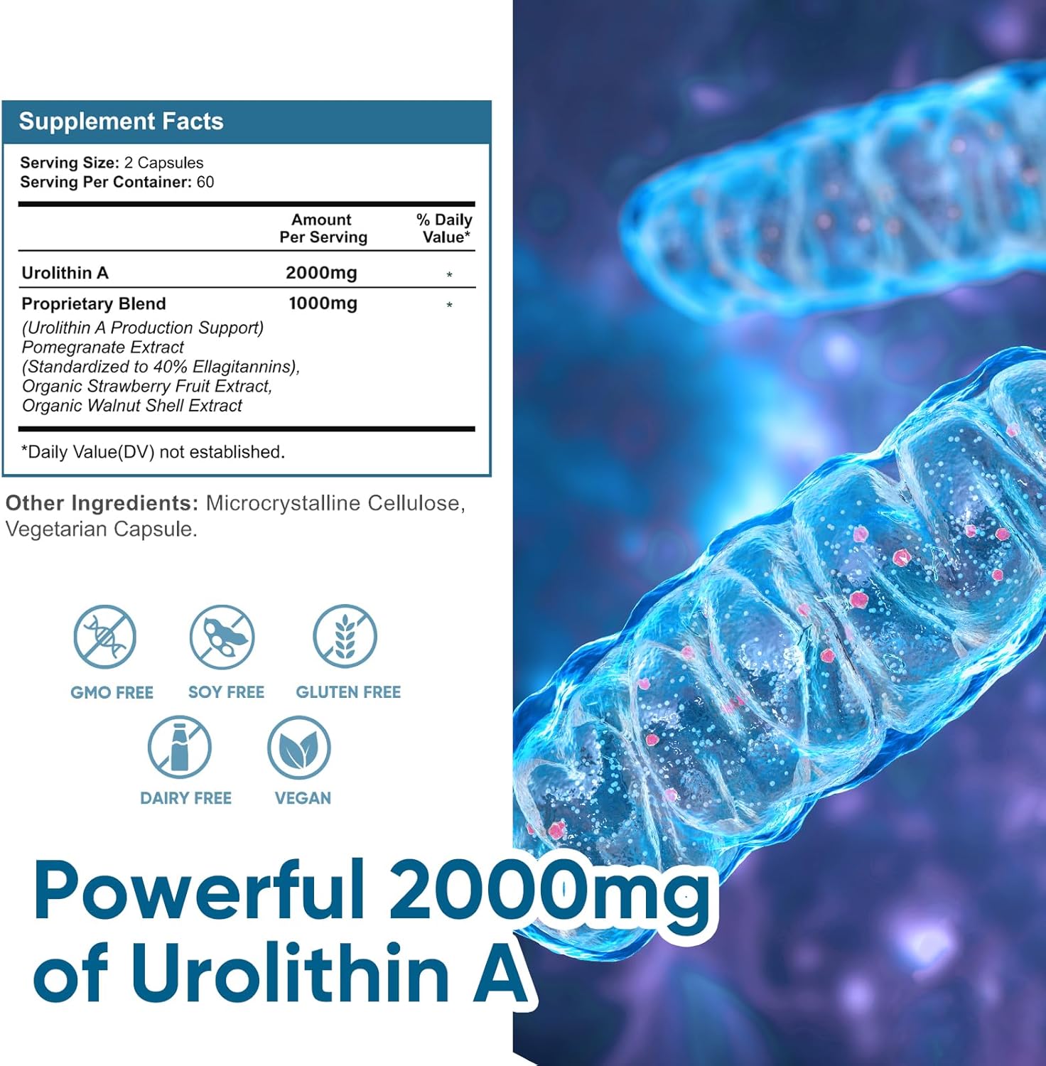 VIVALIFER Urolithin A 2000 MG Antioxidant Promoting Healthy Aging  Mitochondrial Health Repair 120 - Galeri