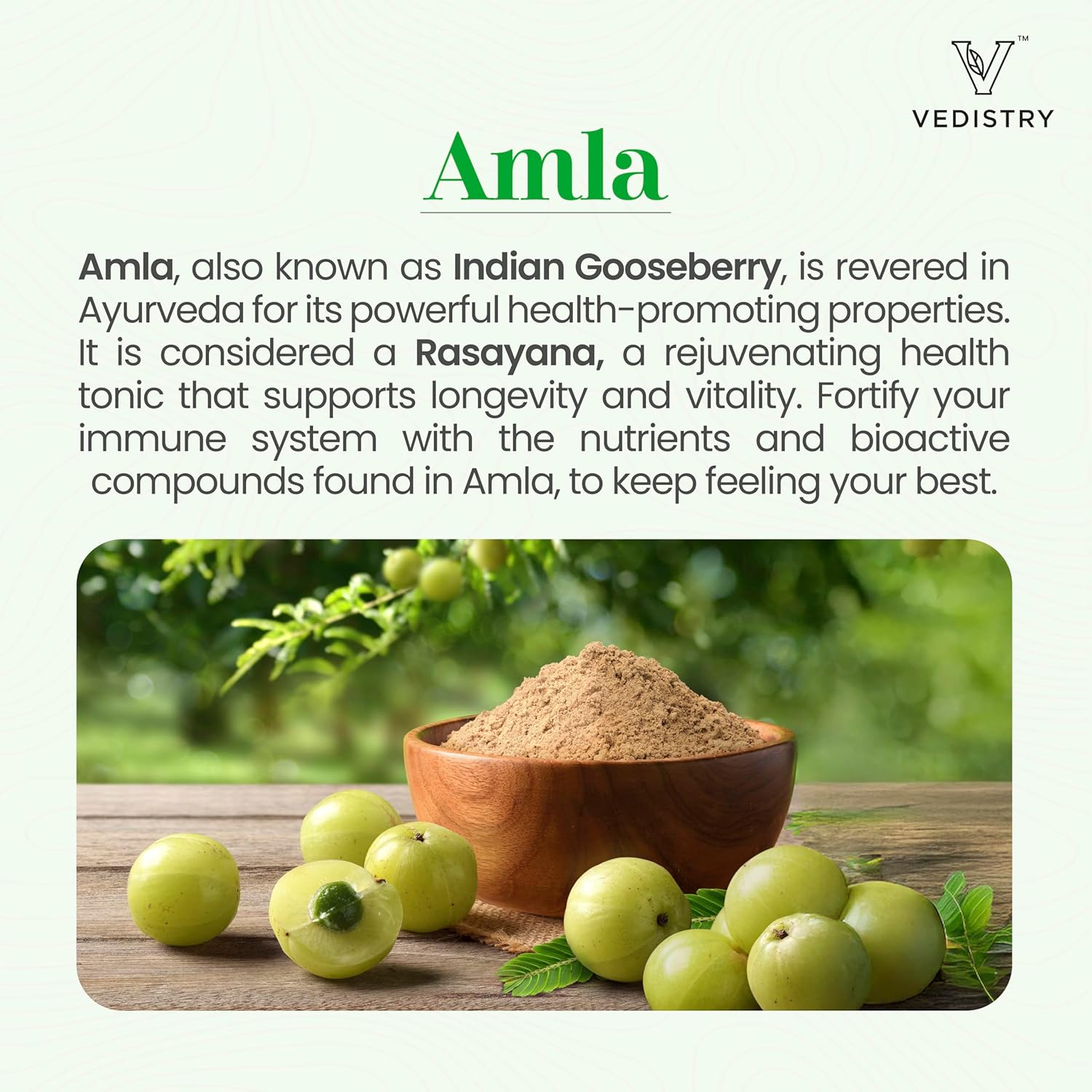 Vedistry Amla+ 1100mg Tablets with Amla & Long Pepper - Galeri