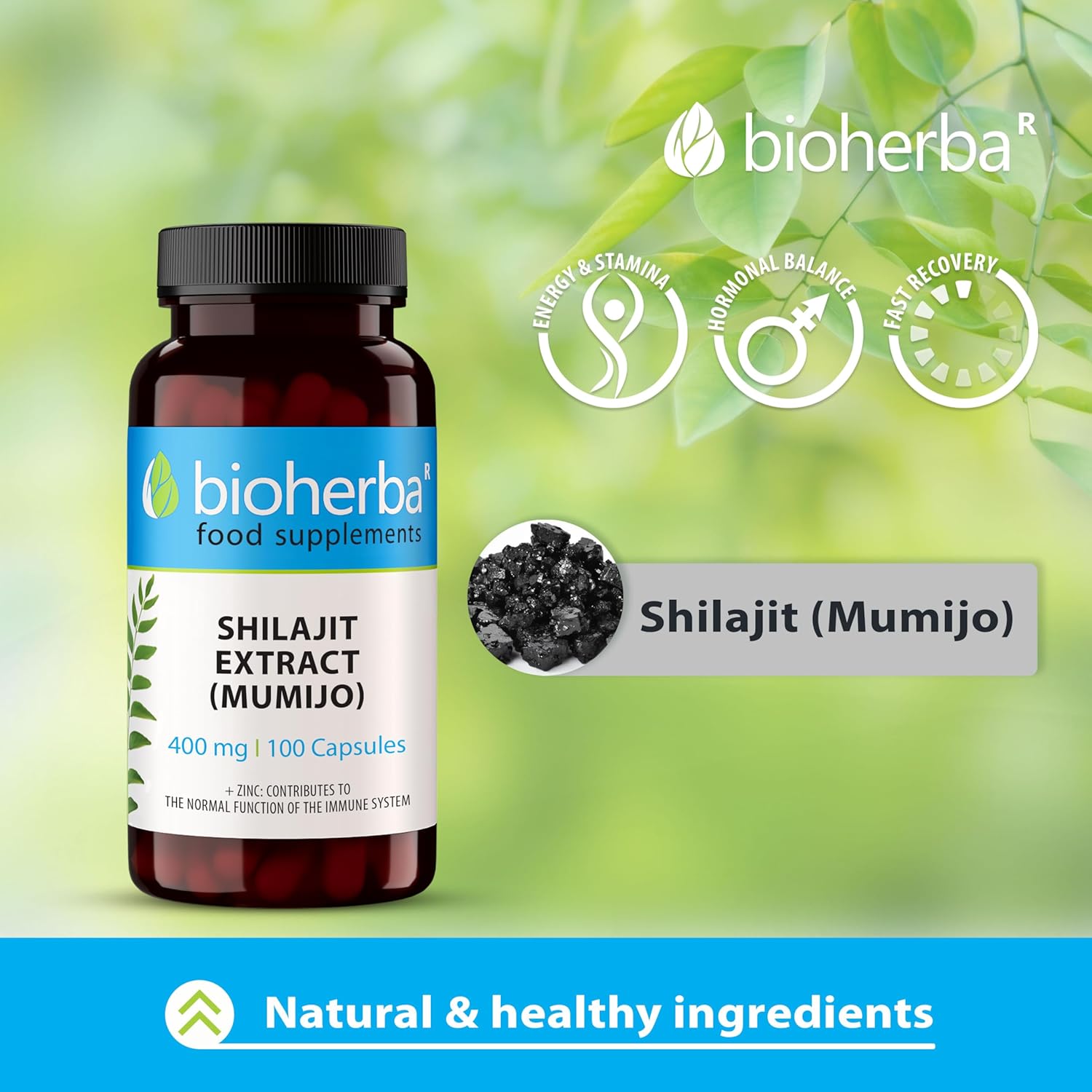 Bioherba Shilajit Extract (Mumijo) 400 mg 100 Caps - Galeri