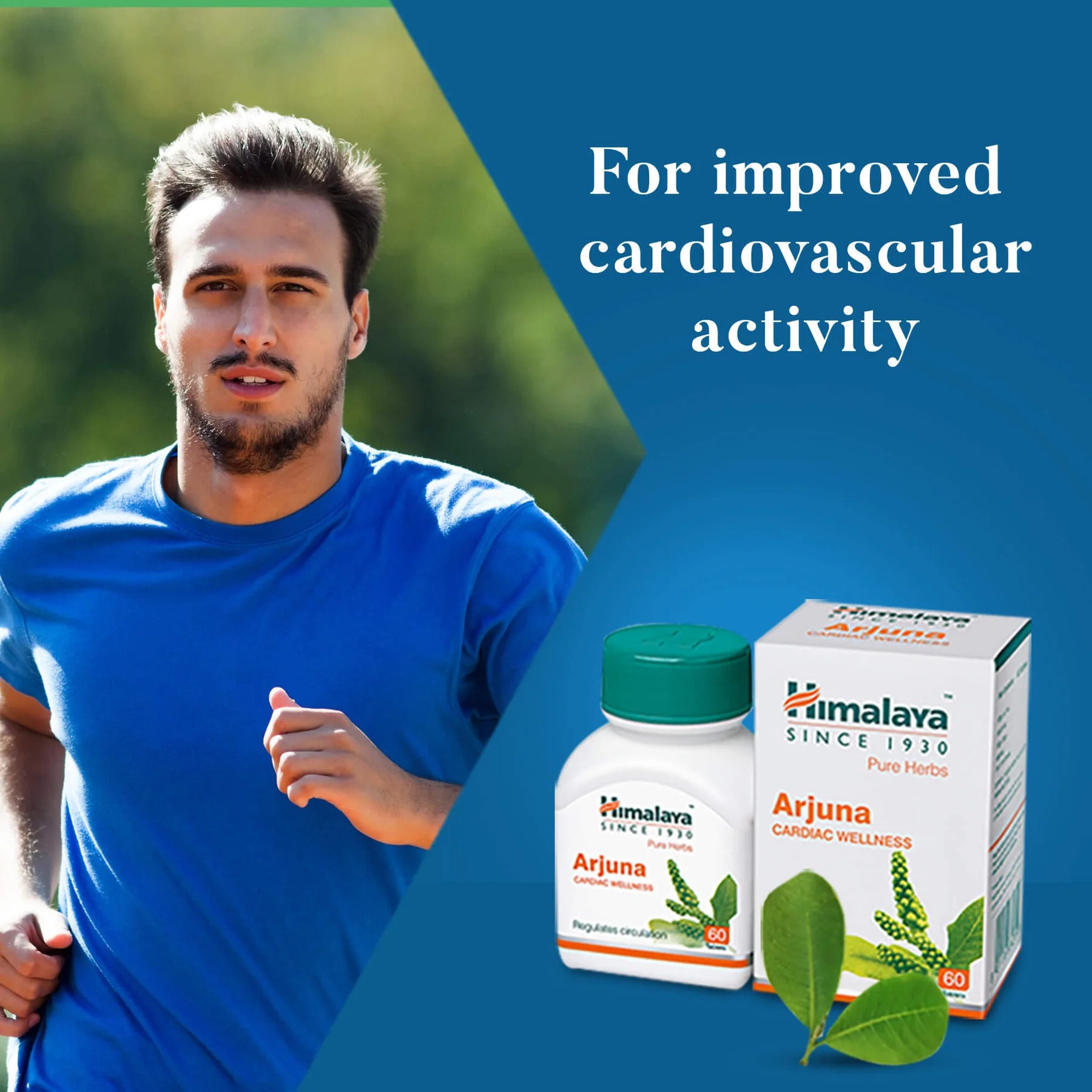 Himalaya Arjuna Vascular support Antioksidan 60 Tablet - Galeri
