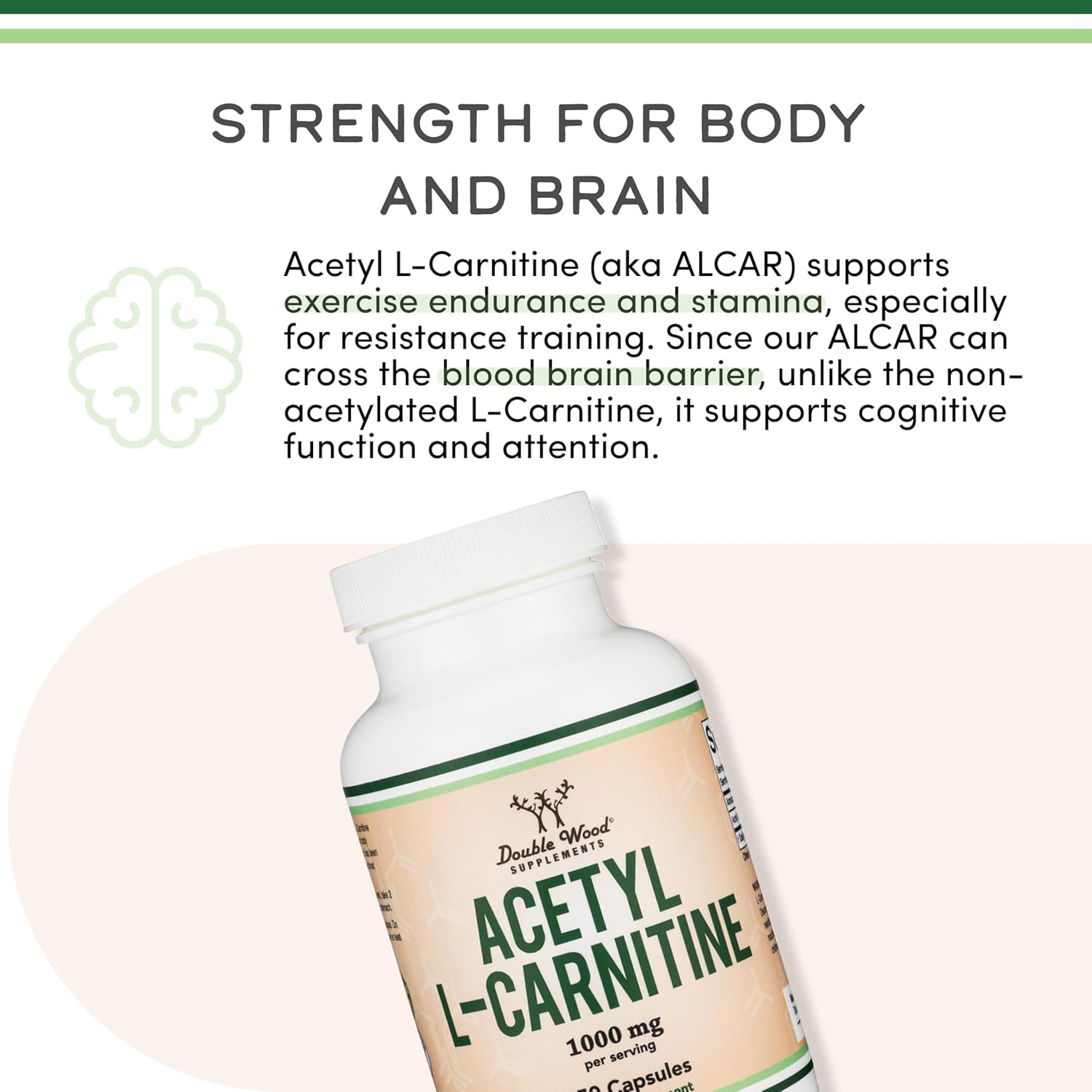 Double Wood Acetyl L-Carnitine ALCAR for Brain Memory Function Support 1,000mg 150 Caps - Galeri