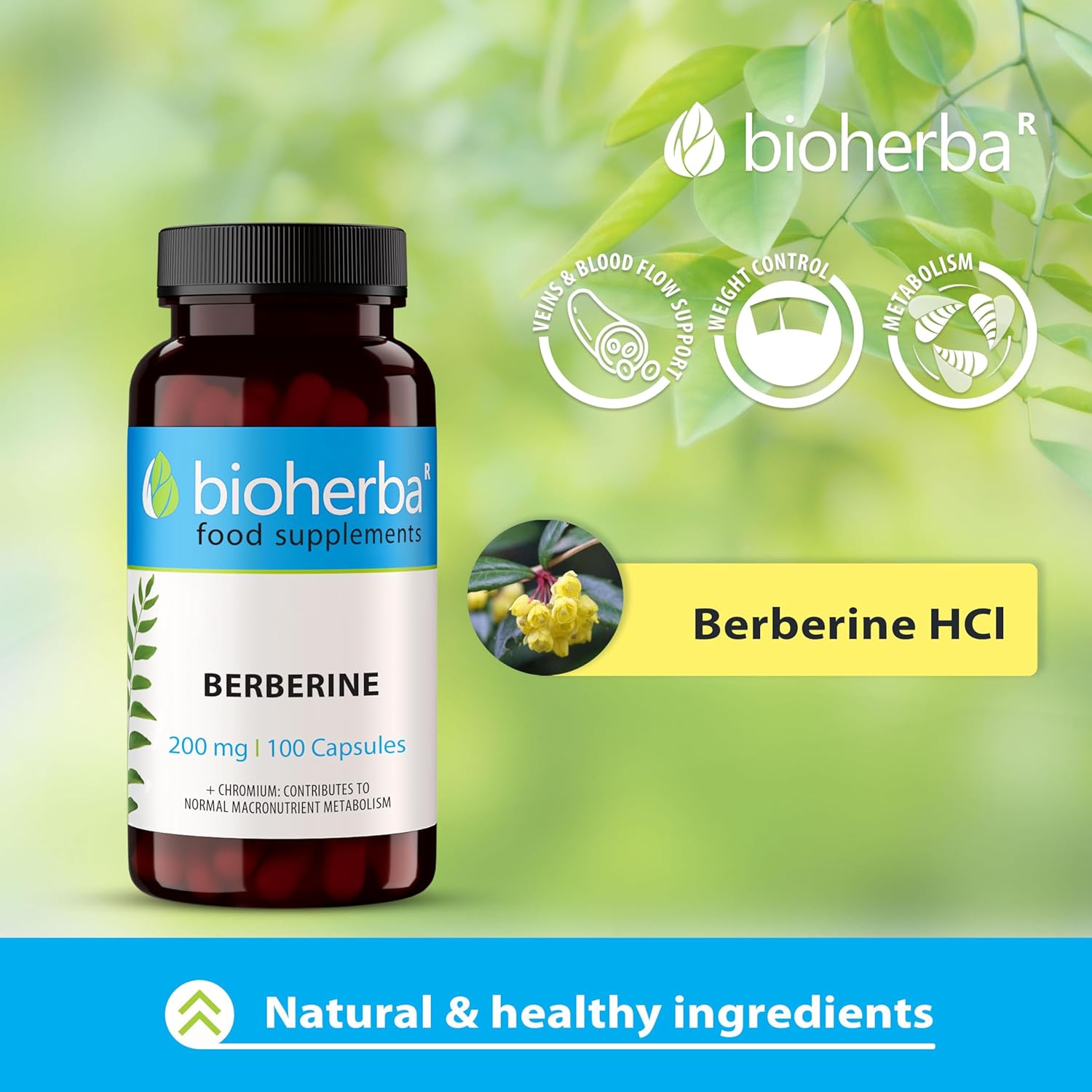 Bioherba Berberine Antioxidant(Antioksidan) 200 mg 100 caps - Galeri