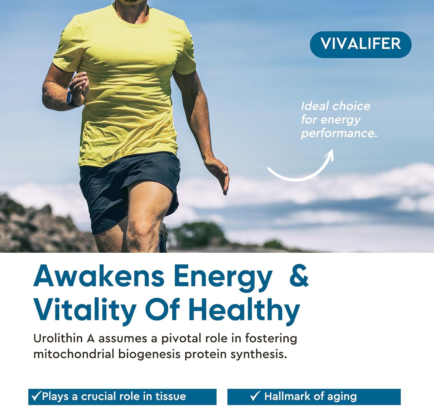 VIVALIFER Urolithin A 2000 MG Antioxidant Promoting Healthy Aging  Mitochondrial Health Repair 120 - Galeri