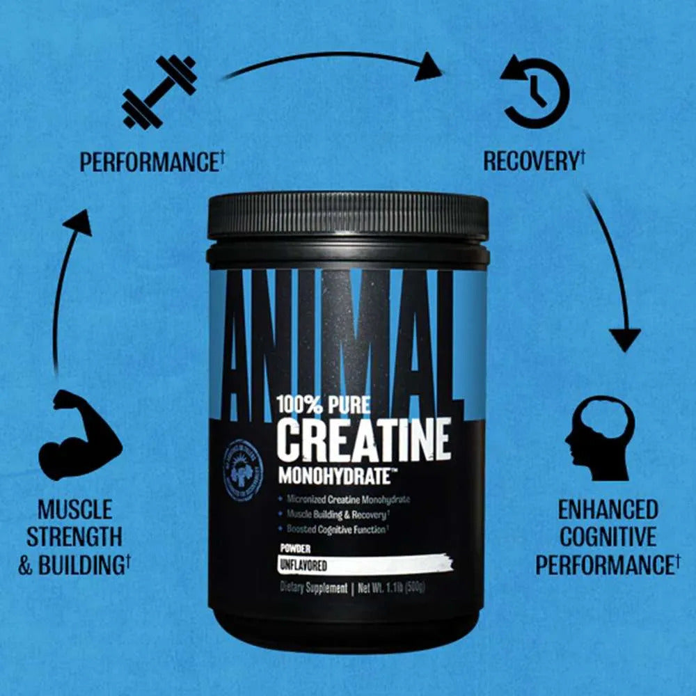 Universal Animal Creatine Monohydrate Monohidrat 500gr - 100 SERVİS - Usa menşei Yerli üretim değildir - Galeri
