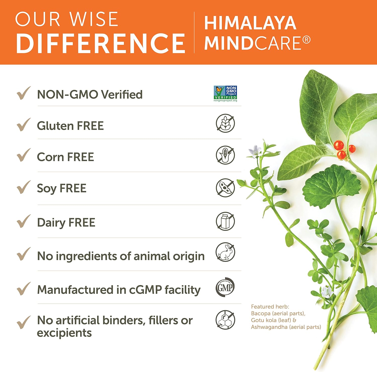 Himalaya MindCare Nootropic Herbal Brain for Memory and Focus Bacopa Ashwagandha 60 Caps - Galeri