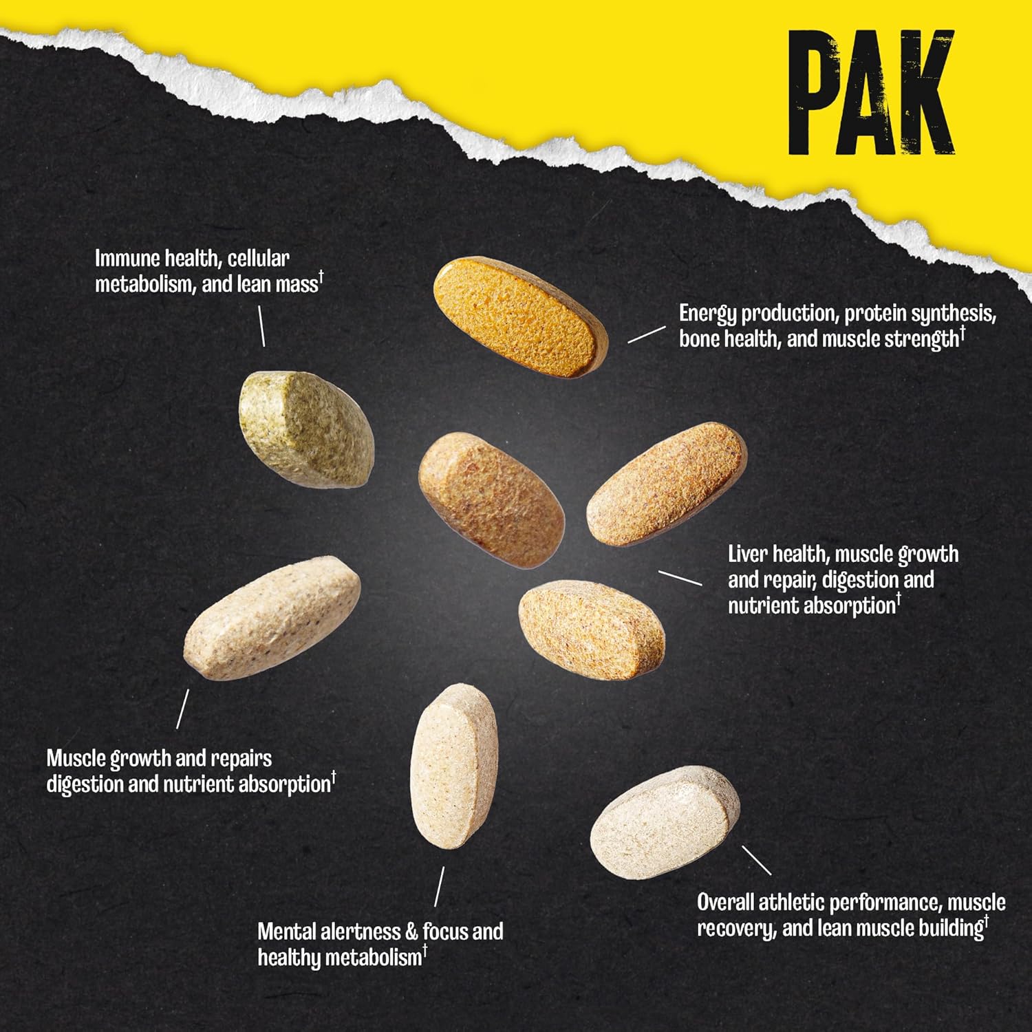 Universal Animal Pak - Convenient Multivitamin for Men & Women Daily All-in-One Vitamin & Supplement Pack - Galeri