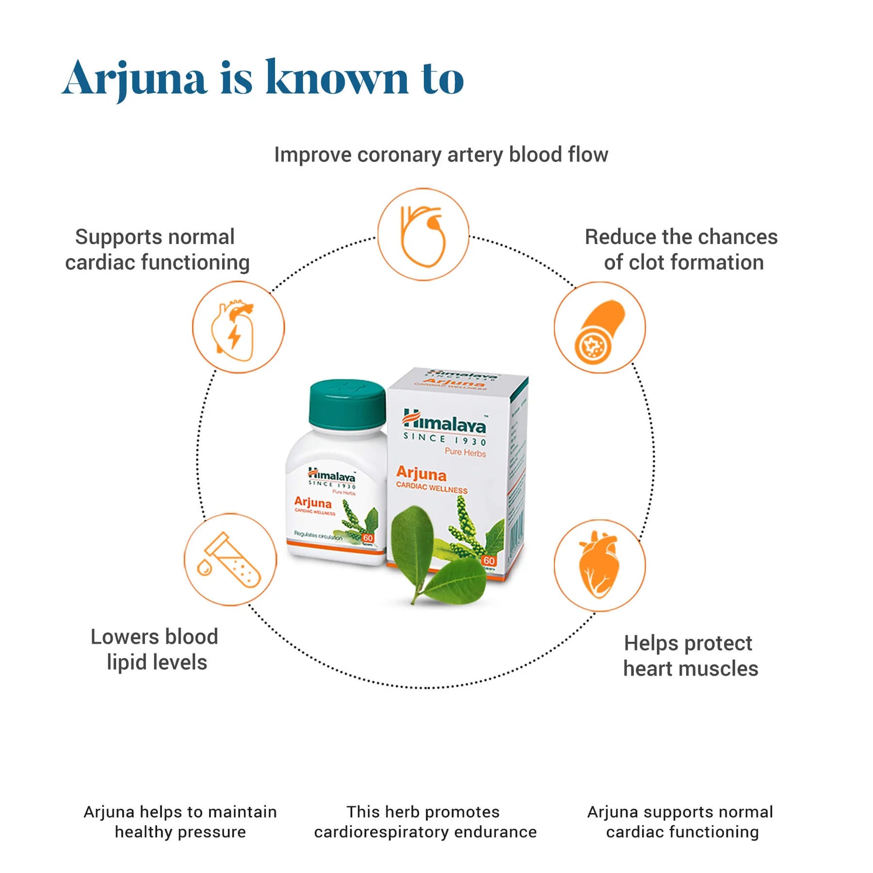 Himalaya Arjuna Vascular support Antioksidan 60 Tablet - Galeri