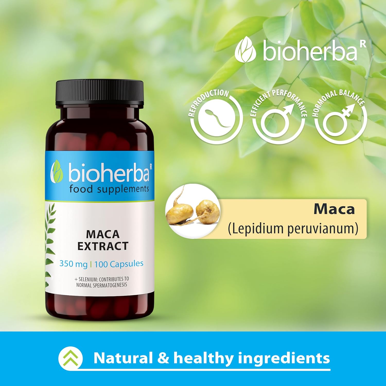 Bioherba Maca Matcha tozu extract+Selenium Selenyum 350 mg 100 caps - Galeri