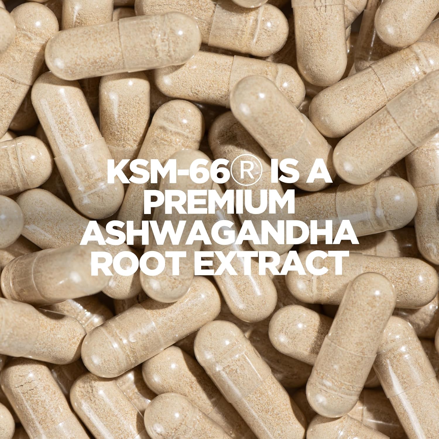 Myprotein Ashwagandha KSM66 500mg Full Spectrum Relaxation, Mood 90 Vegan Caps - Galeri
