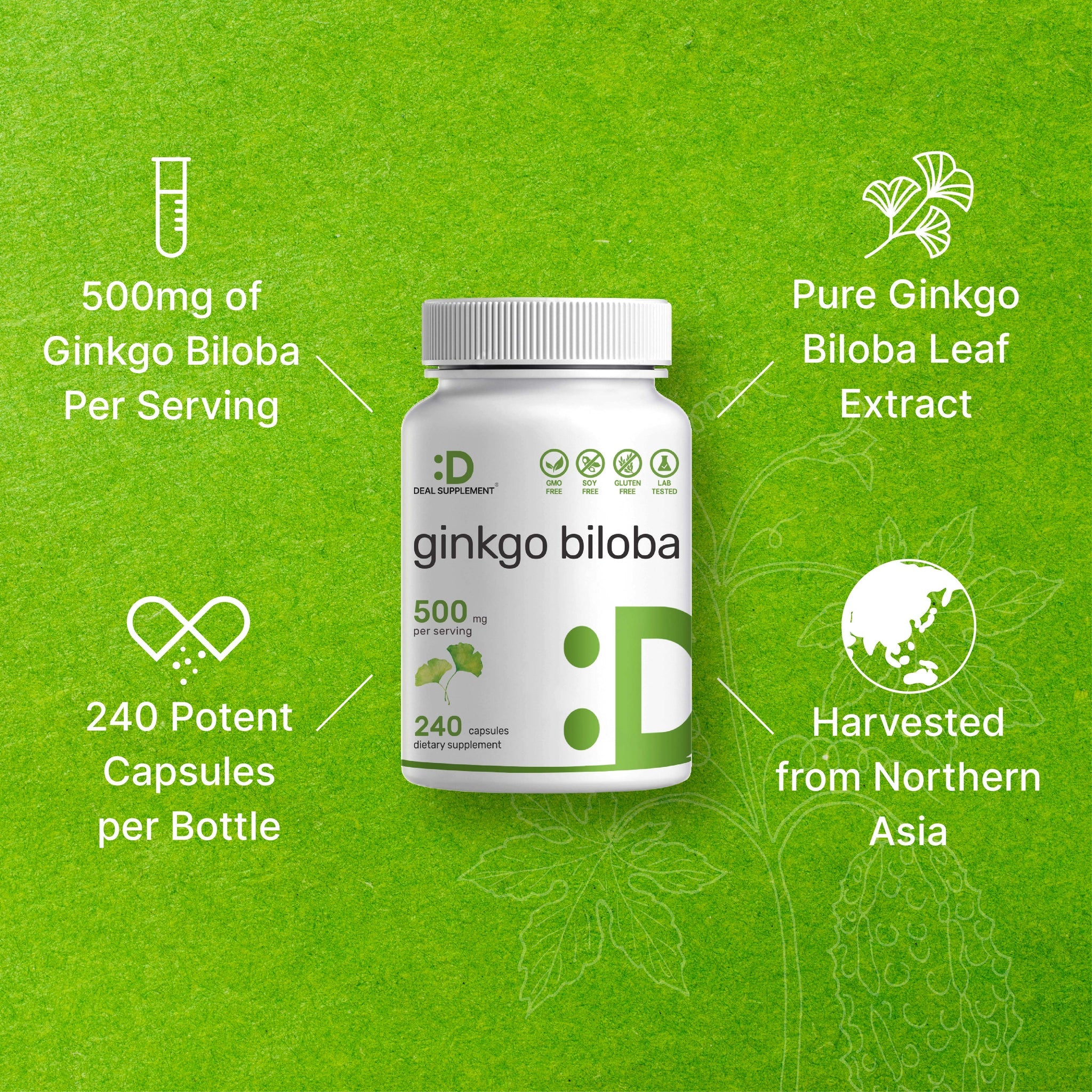 Deal Supplement Ginkgo Biloba Leaf Extract 500mg Per Serving, 240 Capsules - Galeri