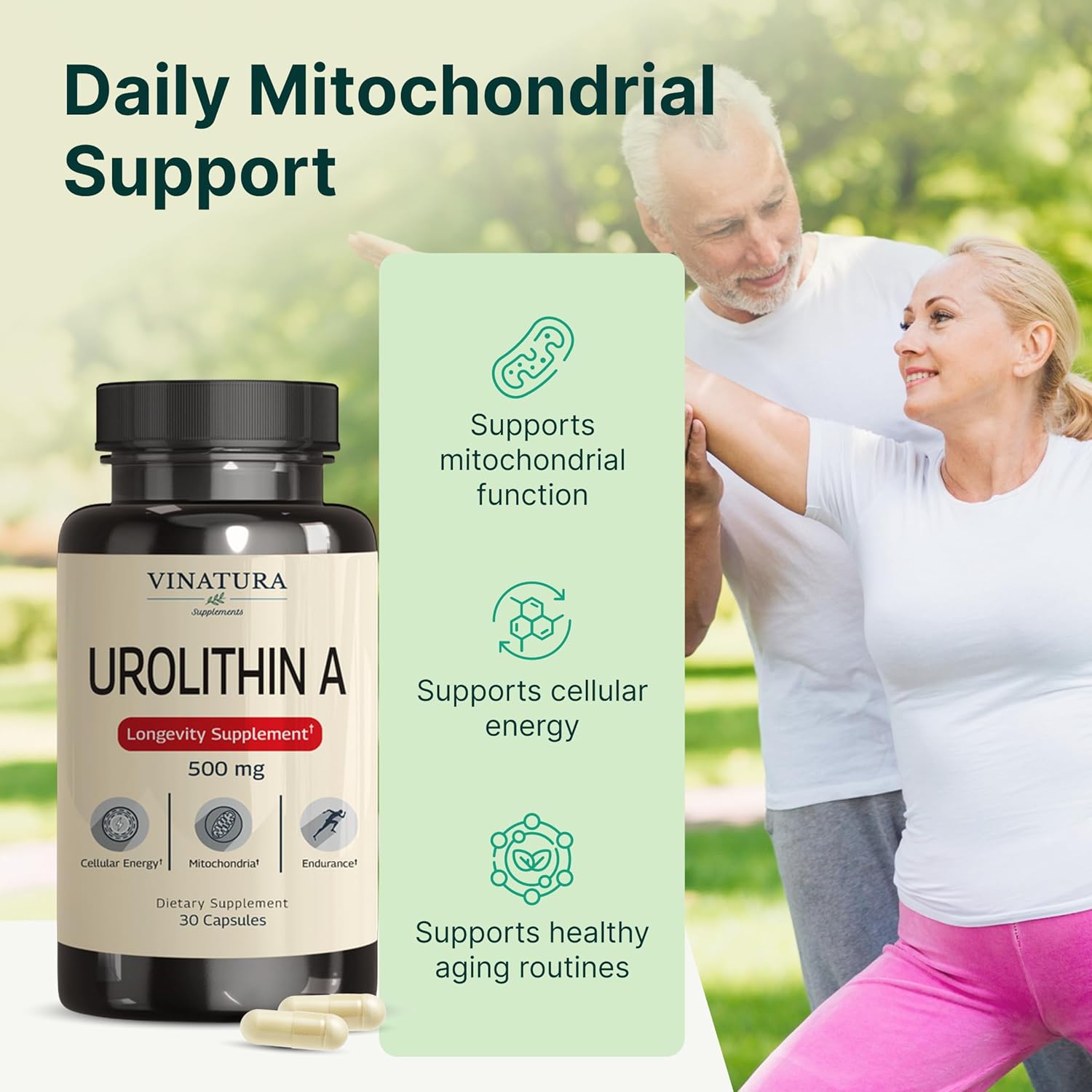 VINATURA Urolithin A 500mg Urolithin A+ Antioxidants Anti-Aging & Mitochondrial Support 30 Caps - Galeri