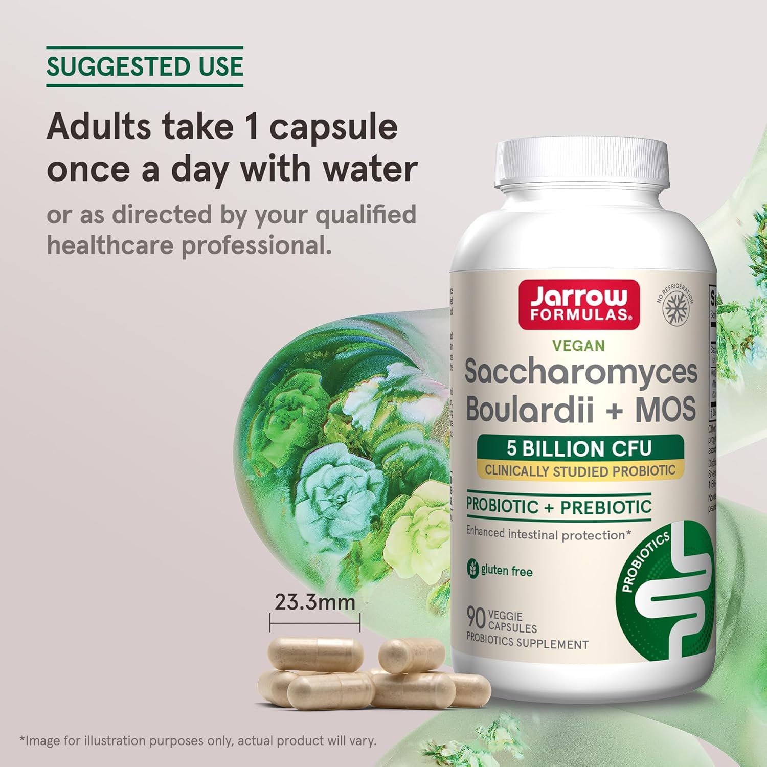 Jarrow Formulas, Vegan Saccharomyces Boulardii Probiyotik + Prebiyotik MOS, 5 Billion CFU, 90 Veggie Caps - Galeri