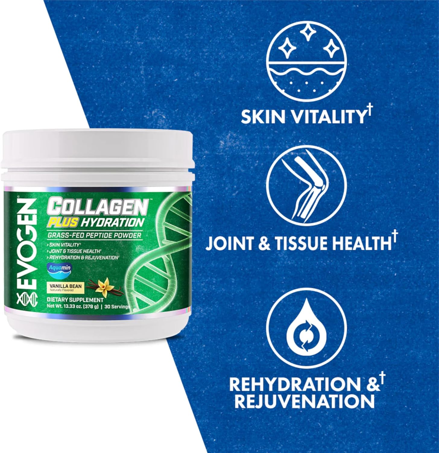 Evogen Collagen Plus Hydration Grass Fed Skin Vitality Joint & Tissue Health | Vanilla 378 gr - Galeri