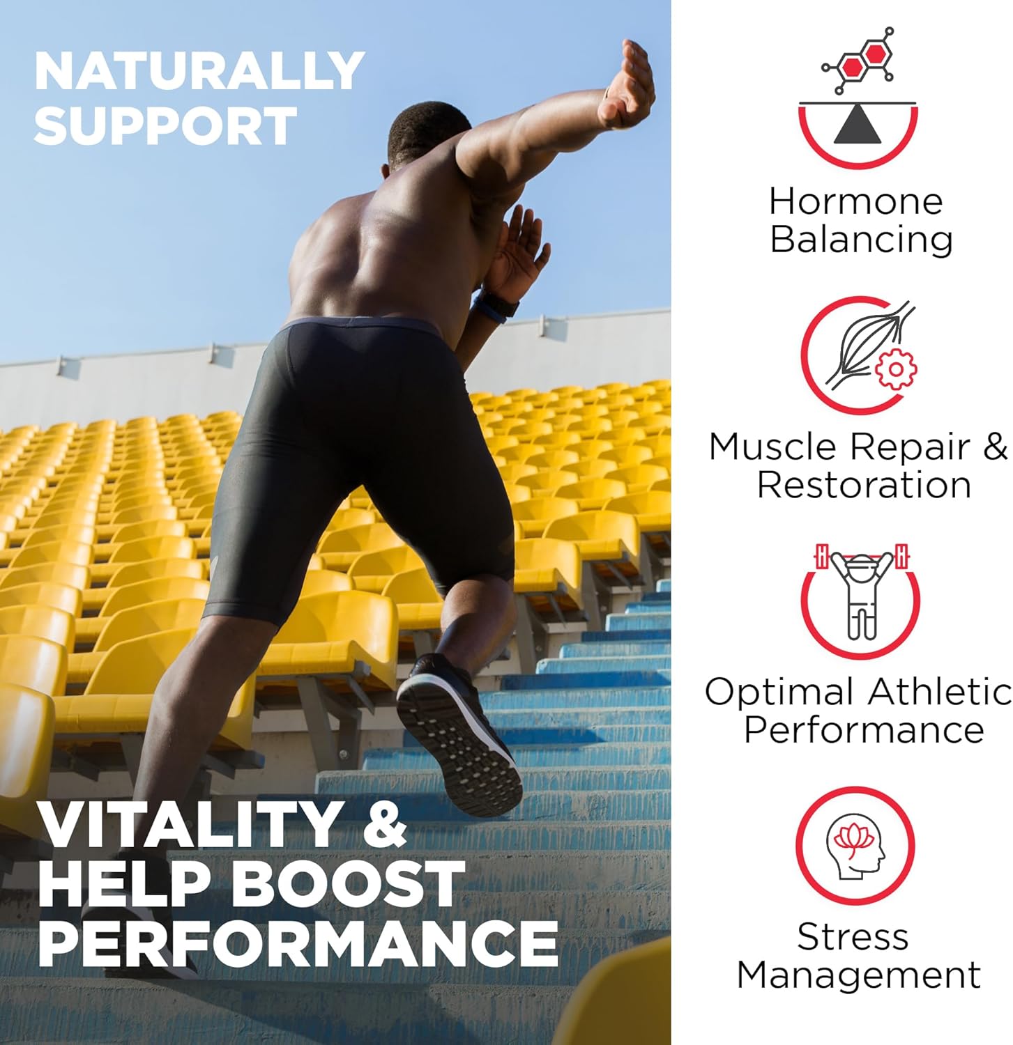 Nutrivein Premium Fadogia Agrestis and Tongkat Ali with Turkesterone - 1100 mg - 120 Caps Strength, & Recovery for Men & Women - Galeri